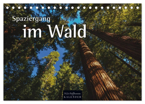 Spaziergang im Wald (Tischkalender 2027 DIN A5 quer), CALVENDO Monatskalender