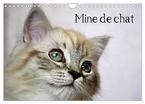 Mine de chat (Calendrier mural 2026 DIN A4 vertical), CALVENDO calendrier mensuel