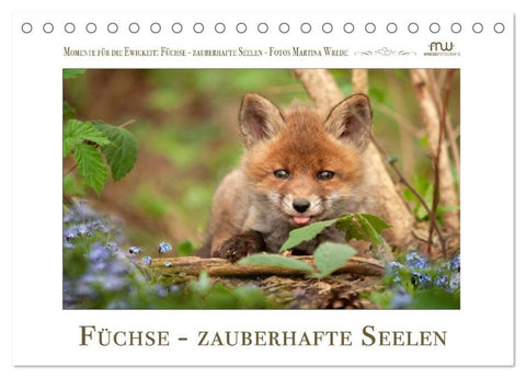 Füchse - zauberhafte Seelen (Tischkalender 2027 DIN A5 quer), CALVENDO Monatskalender