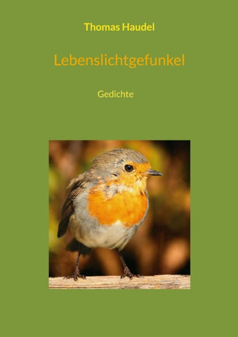 Lebenslichtgefunkel