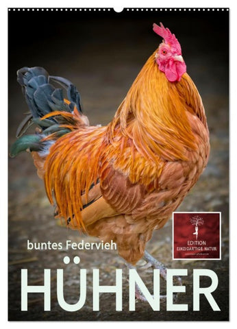 Hühner - buntes Federvieh (Wandkalender 2027 DIN A2 hoch), CALVENDO Monatskalender