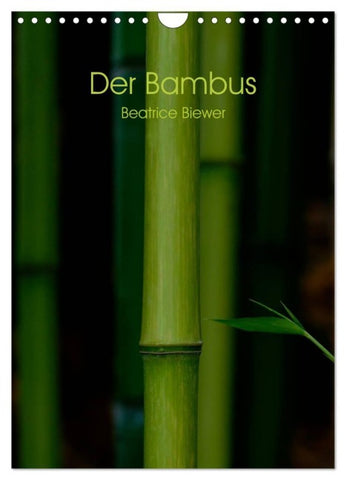 Der Bambus (Wandkalender 2027 DIN A4 hoch), CALVENDO Monatskalender
