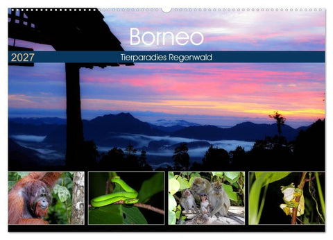Borneo - Tierparadies Regenwald (Wandkalender 2027 DIN A2 quer), CALVENDO Monatskalender