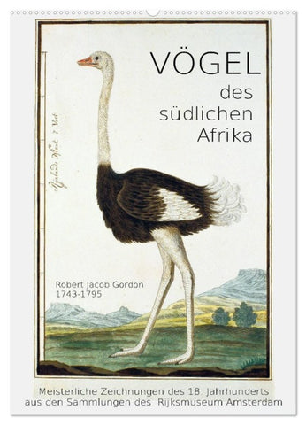 Vögel des südlichen Afrika (Wandkalender 2027 DIN A2 hoch), CALVENDO Monatskalender