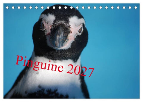 Pinguine 2027 (Tischkalender 2027 DIN A5 quer), CALVENDO Monatskalender