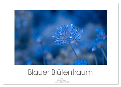 Blauer Blütentraum (Wandkalender 2026 DIN A3 quer), CALVENDO Monatskalender
