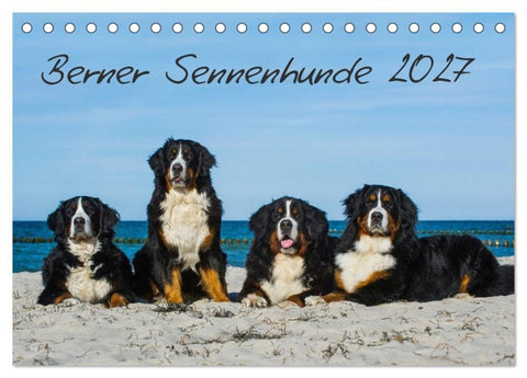 Berner Sennenhund 2027 (Tischkalender 2027 DIN A5 quer), CALVENDO Monatskalender