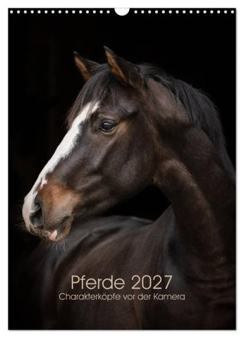 Pferde 2027 - Charakterköpfe vor der Kamera (Wandkalender 2027 DIN A3 hoch), CALVENDO Monatskalender