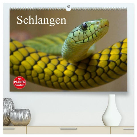 Schlangen (hochwertiger Premium Wandkalender 2027 DIN A2 quer), Kunstdruck in Hochglanz