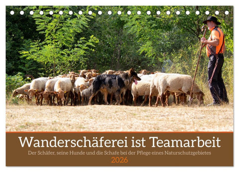 Wanderschäferei ist Teamarbeit (Tischkalender 2026 DIN A5 quer), CALVENDO Monatskalender