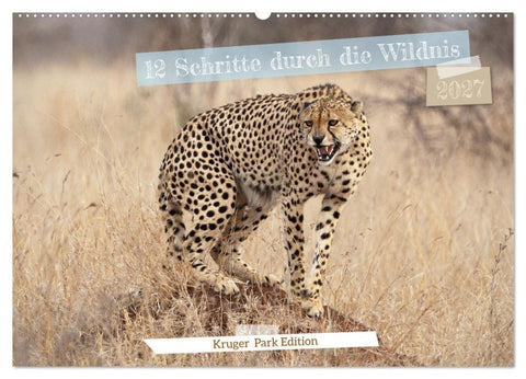 12 Schritte durch die Wildnis, Kruger Park Edition (Wandkalender 2027 DIN A2 quer), CALVENDO Monatskalender