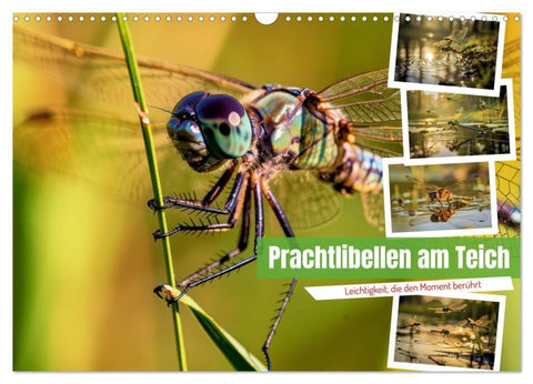 Prachtlibellen am Teich (Wandkalender 2027 DIN A3 quer), CALVENDO Monatskalender
