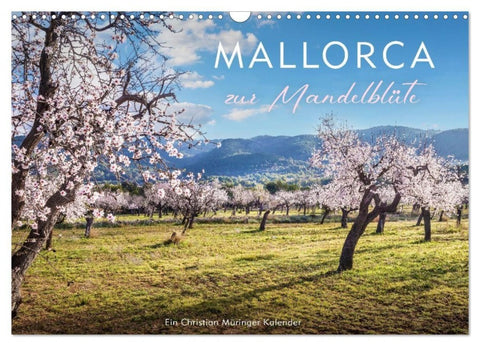 Mallorca zur Mandelblüte (Wandkalender 2027 DIN A3 quer), CALVENDO Monatskalender