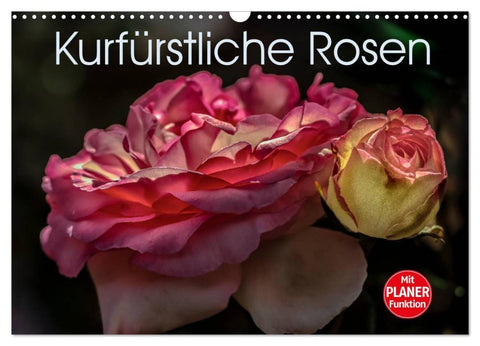 Kurfürstliche Rosen Eltville am Rhein (Wandkalender 2026 DIN A3 quer), CALVENDO Monatskalender