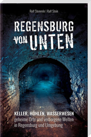 Regensburg von unten