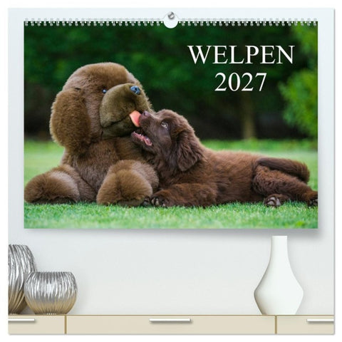 Welpen 2027 (hochwertiger Premium Wandkalender 2027 DIN A2 quer), Kunstdruck in Hochglanz