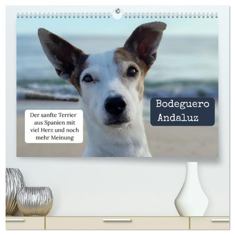 Ratonero Bodeguero Andaluz (hochwertiger Premium Wandkalender 2027 DIN A2 quer), Kunstdruck in Hochglanz