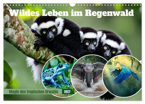 Wildes Leben im Regenwald (Wandkalender 2027 DIN A3 quer), CALVENDO Monatskalender