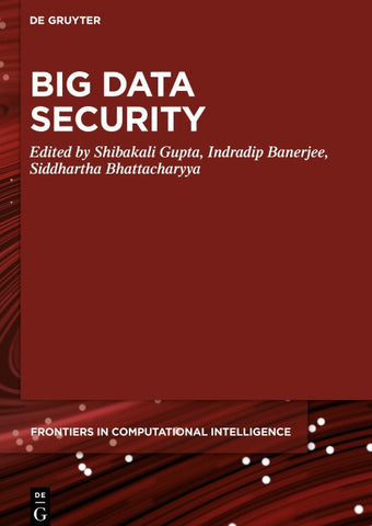 Big Data Security