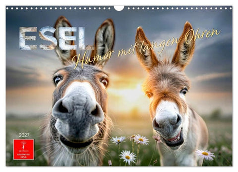 Esel - Humor mit langen Ohren (Wandkalender 2027 DIN A3 quer), CALVENDO Monatskalender
