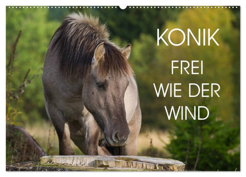 Konik - Frei geboren (Wandkalender 2026 DIN A2 quer), CALVENDO Monatskalender