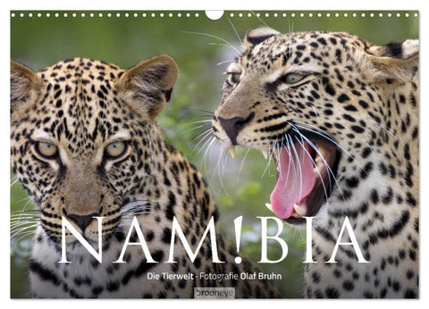 Namibia - Die Tierwelt (Wandkalender 2026 DIN A3 quer), CALVENDO Monatskalender
