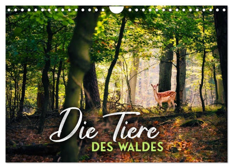 Die Tiere des Waldes (Wandkalender 2027 DIN A4 quer), CALVENDO Monatskalender