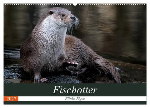 Fischotter, flinke Jäger (Wandkalender 2027 DIN A2 quer), CALVENDO Monatskalender