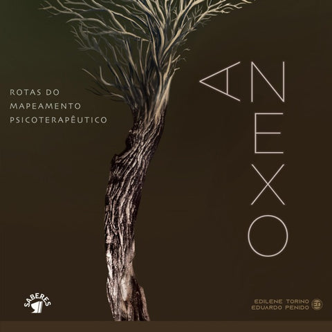 Anexo: Rotas do mapeamento psicoterapêutico