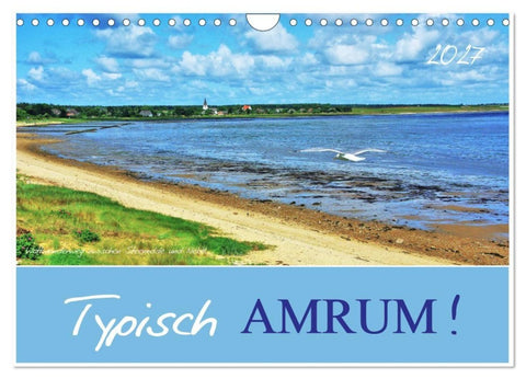 Typisch Amrum! (Wandkalender 2027 DIN A4 quer), CALVENDO Monatskalender
