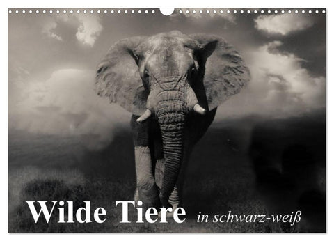 Wilde Tiere in schwarz-weiß (Wandkalender 2026 DIN A3 quer), CALVENDO Monatskalender