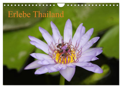 Erlebe Thailand (Wandkalender 2026 DIN A4 quer), CALVENDO Monatskalender
