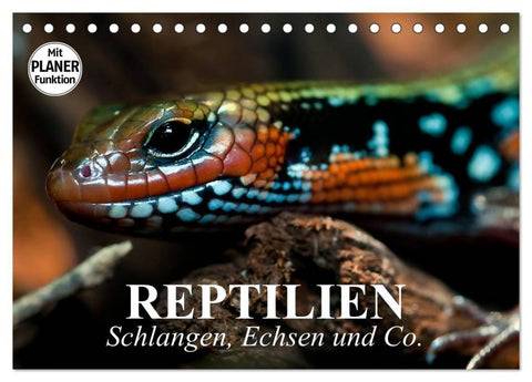Reptilien. Schlangen, Echsen und Co. (Tischkalender 2027 DIN A5 quer), CALVENDO Monatskalender