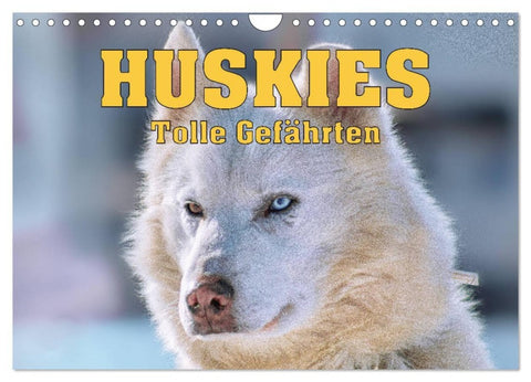 Huskies - Tolle Gefährten (Wandkalender 2027 DIN A4 quer), CALVENDO Monatskalender