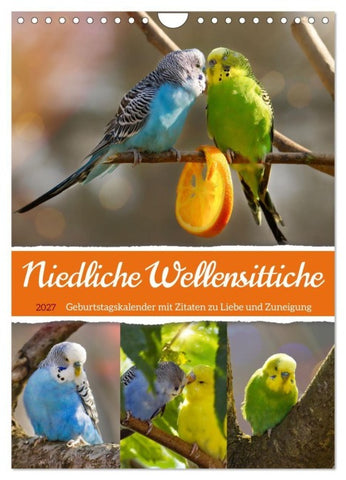 Niedliche Wellensittiche (Wandkalender 2027 DIN A4 hoch), CALVENDO Monatskalender