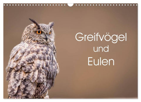 Greifvögel und Eulen (Wandkalender 2027 DIN A3 quer), CALVENDO Monatskalender