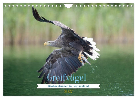 Greifer in Aktion (Wandkalender 2027 DIN A4 quer), CALVENDO Monatskalender