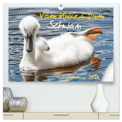 Vom Küken zum Schwan (hochwertiger Premium Wandkalender 2026 DIN A2 quer), Kunstdruck in Hochglanz