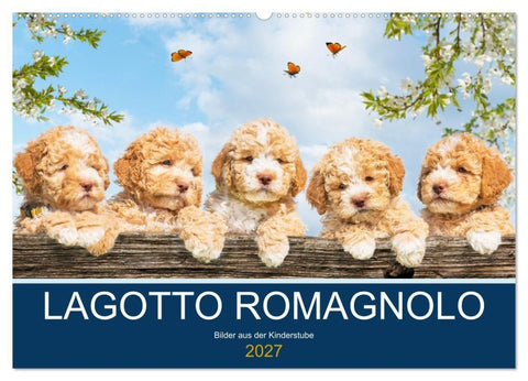 Lagotto Romagnolo - Bilder aus der Kinderstube (Wandkalender 2027 DIN A2 quer), CALVENDO Monatskalender