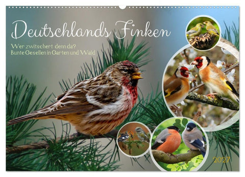 Deutschlands Finken (Wandkalender 2027 DIN A2 quer), CALVENDO Monatskalender
