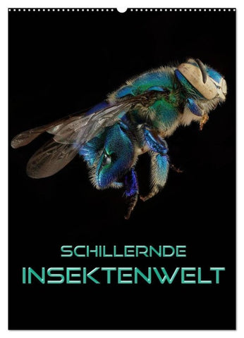 Schillernde Insektenwelt (Wandkalender 2027 DIN A2 hoch), CALVENDO Monatskalender