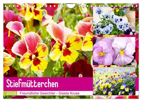Stiefmütterchen Freundliche Gesichter (Wandkalender 2026 DIN A4 quer), CALVENDO Monatskalender