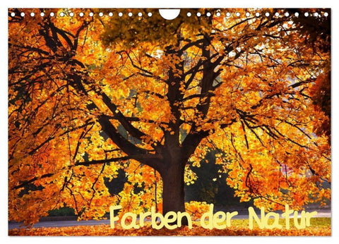 Farben der Natur (Wandkalender 2027 DIN A4 quer), CALVENDO Monatskalender