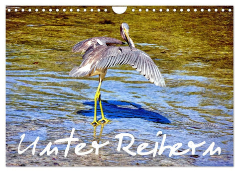 Unter Reihern (Wandkalender 2026 DIN A4 quer), CALVENDO Monatskalender