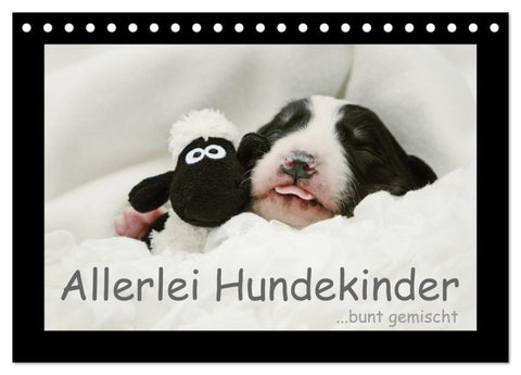 Allerlei Hundekinder (Tischkalender 2027 DIN A5 quer), CALVENDO Monatskalender
