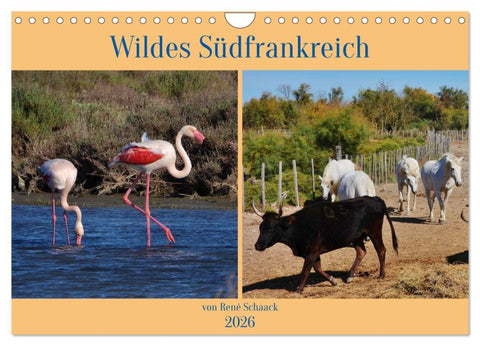 Wildes Südfrankreich (Wandkalender 2026 DIN A4 quer), CALVENDO Monatskalender