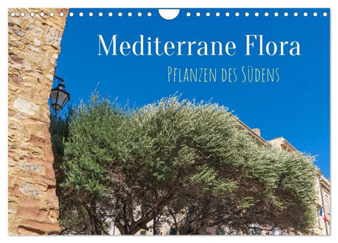 Mediterrane Flora - Pflanzen des Südens (Wandkalender 2027 DIN A4 quer), CALVENDO Monatskalender