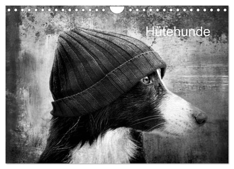 Hütehunde (Wandkalender 2027 DIN A4 quer), CALVENDO Monatskalender