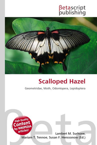 Scalloped Hazel