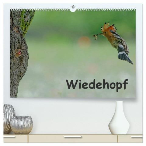 Wiedehopf (hochwertiger Premium Wandkalender 2027 DIN A2 quer), Kunstdruck in Hochglanz